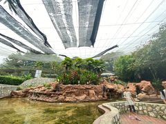 -吉隆坡雀鸟公园