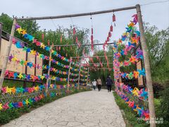 -北京西山国家森林公园