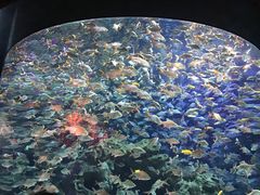 -成都浩海立方海洋公园