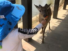 -南京金牛湖风景区