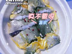-1937青岛老味道·海肠捞饭·青岛菜(大鲍岛栈桥店)