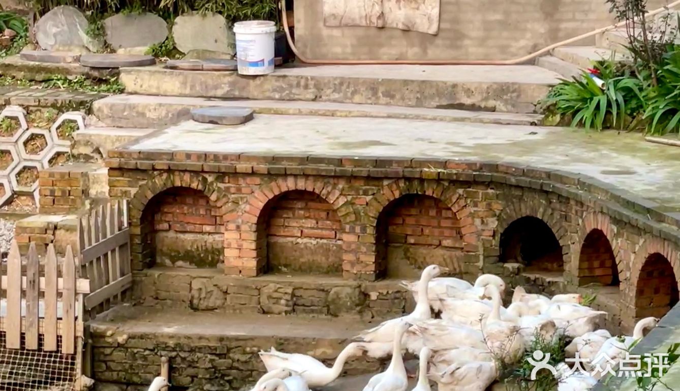 乡村周末🍃田园风味在舌尖 😋