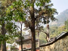 -北京上方山国家森林公园