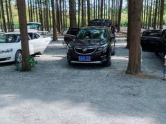 -黄海国家森林公园