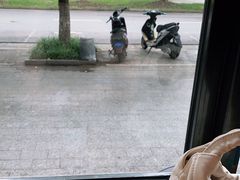 -ZEMOCAFE·FUSION FOOD(西交利物浦店)