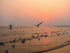 -老虎石海上公园