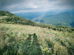 -白草畔自然风景区