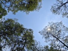 -宜兴龙背山森林公园