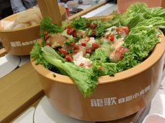 -龍歌自助小火锅(崂山丽达店)