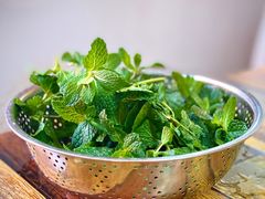 薄荷-唠叨坊私房菜(五一街店)