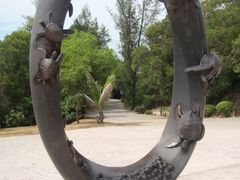 -广东惠东海龟国家级自然保护区