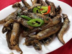 -蛇口康乐快餐鱼仔档(翠苑小区店)