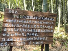 -东明山森林公园
