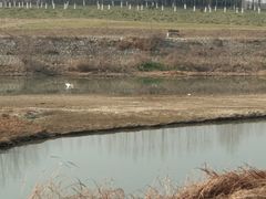-洨河生态公园