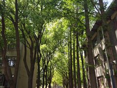 -苏州大学(天赐庄校区)