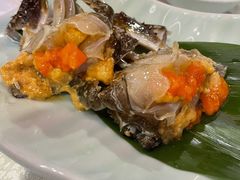 -渔娘渔家丹东海鲜(东直门店)