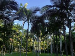 -中国科学院西双版纳热带植物园
