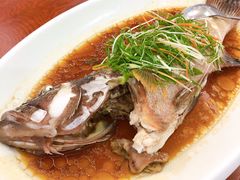 清蒸东星斑-旺富东海大酒楼(海鲜街店)