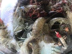 -海岸风情蒸汽海鲜自助餐厅(家宴金手勺店)