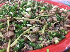 尖椒兔-东吴霸王兔(松青路店)