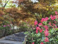 -岳麓山风景名胜区