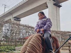 -秀丽东方