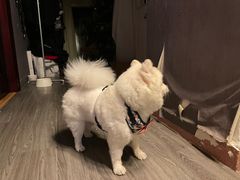 -伽利略剧本探案馆(国贸店)