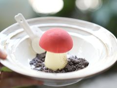 -菌自由丨野生菌火锅特色庭院餐厅(丽江古城店)