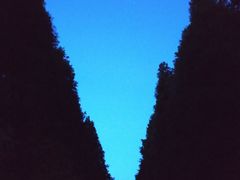 -山王坪喀斯特国家生态公园