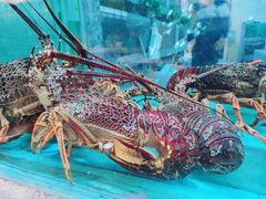 -海逸海鲜酒家(古北店)