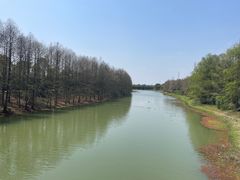 -上海海湾国家森林公园