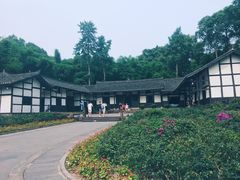 -邓小平故里