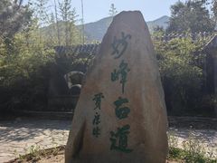 -阳台山自然风景区