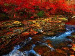 -丹东天桥沟景区