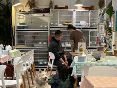 -小时光咖啡馆(北锣鼓巷店)