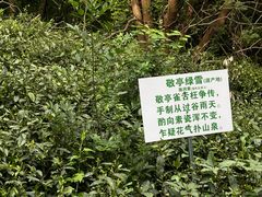 -敬亭山风景名胜区