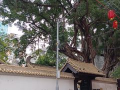-越秀西湖花市(广州城市广场花卉店)