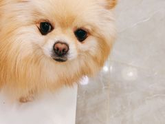 -和它·交个朋友·狗咖猫咖(爱琴海店)