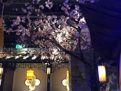 -绿茶餐厅(松江万达店)