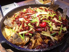 老板恋上鱼-老板恋上鱼(恒隆广场店)