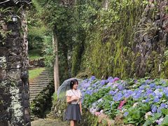 -MOJ coffee(瓯海泽雅水碓坑店)