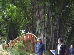 -望江楼公园