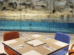 -帝企鹅自助餐厅•儿童岛•真企鹅(长隆企鹅酒店)