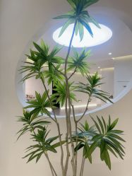 点击看大图 -VE小颜皮肤管理&科学美肤中心