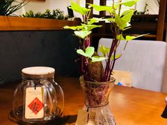 山泉水煲普洱茶-十二舍·湯物素煮(江泰潤政店)
