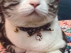 -Goku PET SHOP宠物视觉生活馆(双井店)