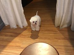 -伽利略剧本探案馆(国贸店)