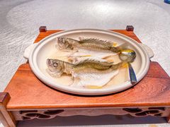 -海游荟·海洋文化餐厅(福田店)
