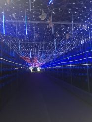 -郑州市世纪公园