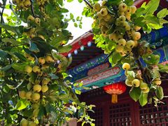 -承恩寺